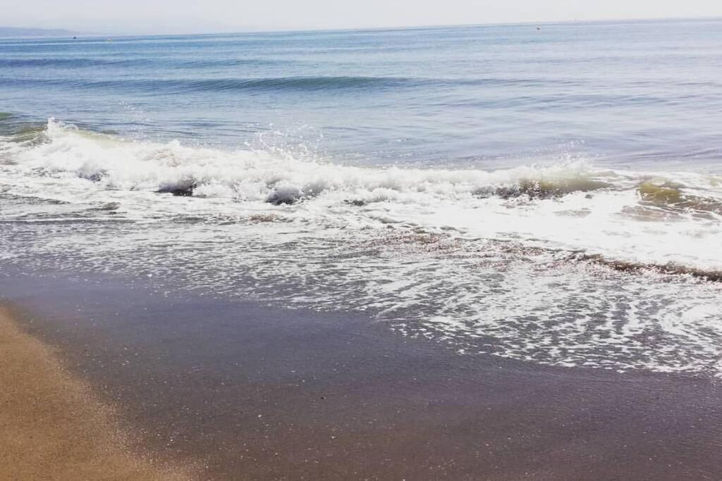 Beach Studio טורמולינוס מראה חיצוני תמונה